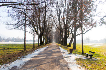 Spazierweg, Allee im Frühling