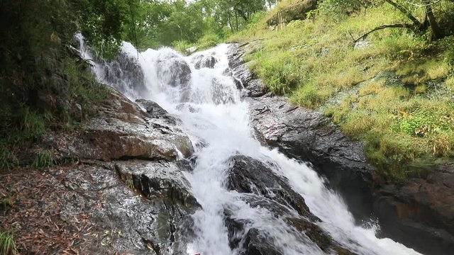 Amazing view of Datanla waterfall with crystal clear water among green woods in summer
