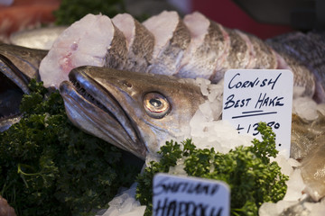 cornish best hake on the market