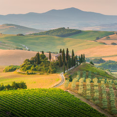 Fototapety  The Tuscan Landscape