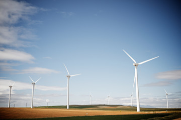 Fototapeta premium Wind energy