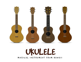 Ukulele illustration on white backgroiund