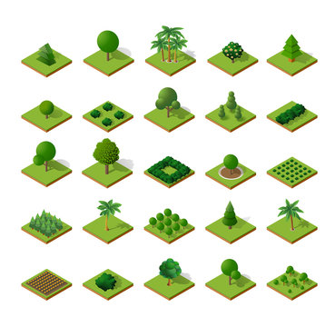 Set Isometric 3d trees forest camping nature elements white background for landscape design. Vector illustration isolated. Icons for city maps, games and your town