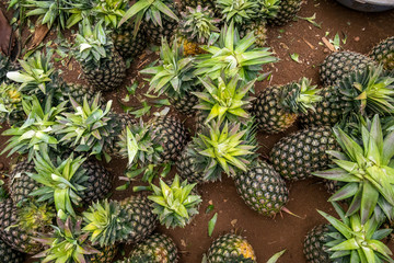 Multitude of pineapples in the market