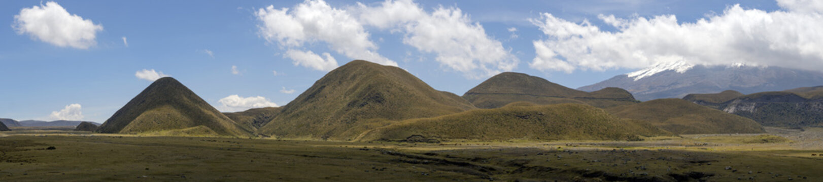 Hummocky ground at the base of Cotopaxi Volcano in the Ecuadorian Andes. The hummocks are volcanic debris avalanche deposits.