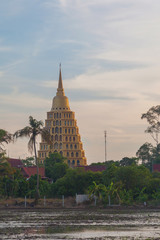 Historic pagoda in green rice farm landscape, Thailand