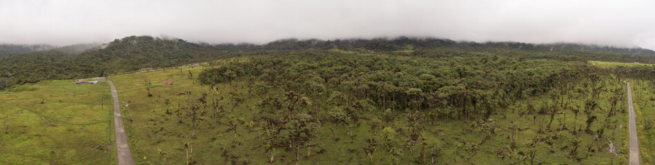 Aerial view of deforestation along roads cut through montane rainforest on the Amazonian slopes of the Andes in Ecuador. The forest is being cleared for cattle farming.