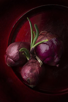 Overhead view of red onions on red plate