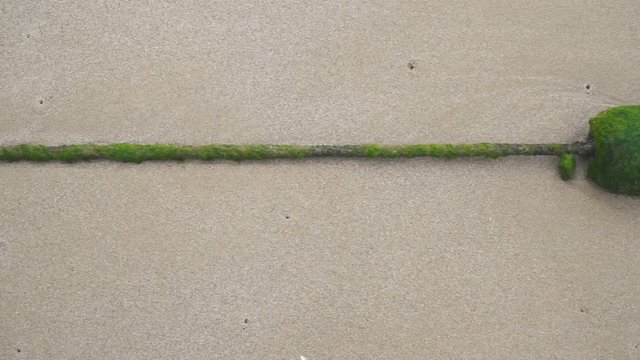 Gr&uuml;ne Algen auf d&uuml;nnem Seil auf Sandboden in Thailand