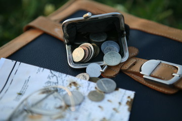 old coins in the purse