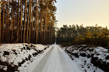 Leśna droga przez zimowy las wśród śniegu. © W Korczewski