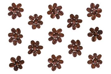 flowers of coffee, isolate on a white background.