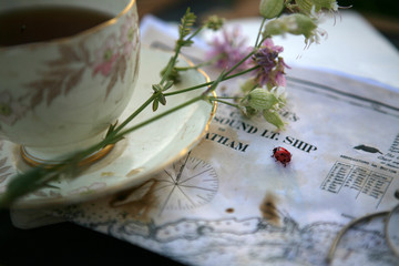 cup of tea and a ladybug