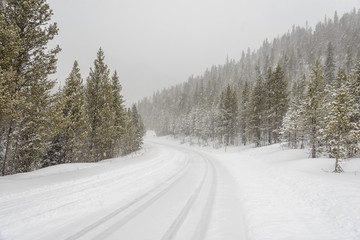 Obraz premium Snow Road