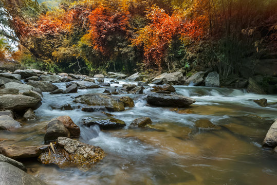 waterfalls in the wilderness
