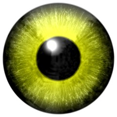 Realistic colorful eye iris texture