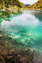 Lake with turquoise water between the rocks in the woods. Plitvice, National Park, Croatia