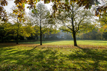 Awesome Autumn Mood at Park in Krefeld/ Germany