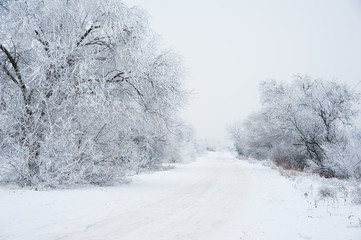 Obraz premium Dirt road in the forest in winter