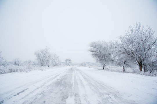 Dirt road in the forest in winter