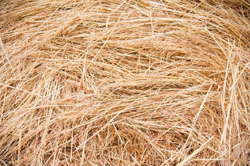 Storage with piles of stacks of hay