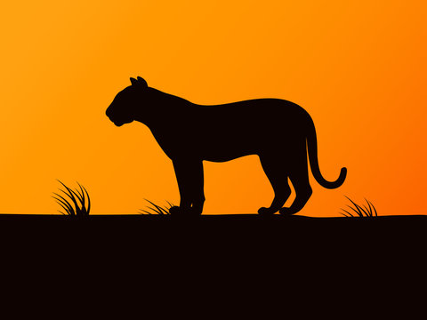 Vector black silhouette tiger on the sunset