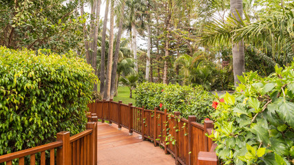 Obraz premium Tenerife