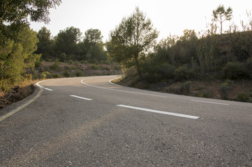 Road in Sot de Ferrer