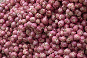 Red onion / Heap of red onion in the market.