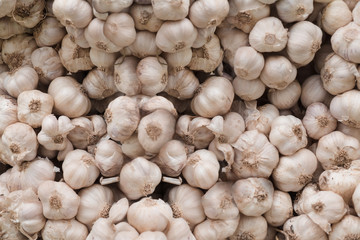 Garlic / Heap of fresh garlic in the market.