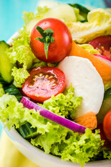 fresh healthy salad with tomatoes