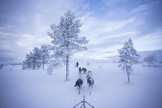 Blizzard