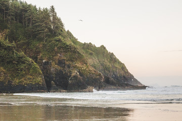 Landscape view on the Oregon coast