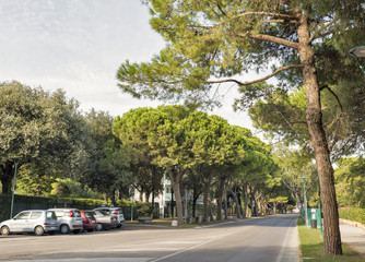 Lido Santa Maria Elisabetta street, Italy.