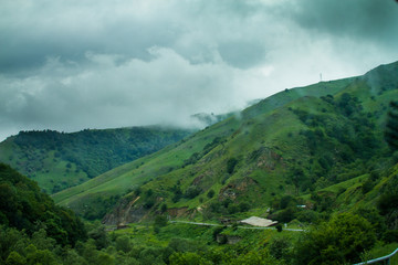Fototapeta na wymiar Green Hills, Forest and Cloudy Sky