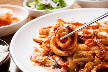 Ojingeo deopbap. Spicy Stir-fried Squid with Rice 