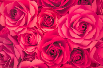 Abstract colorful flower