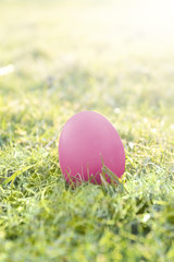 Osterei Wiese Ostern