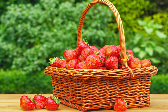 Fresh strawberries in a basket on wooden table in garden