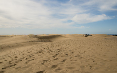 Fototapeta na wymiar Canarias dunes.