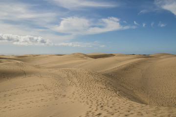 Fototapeta na wymiar Desert.