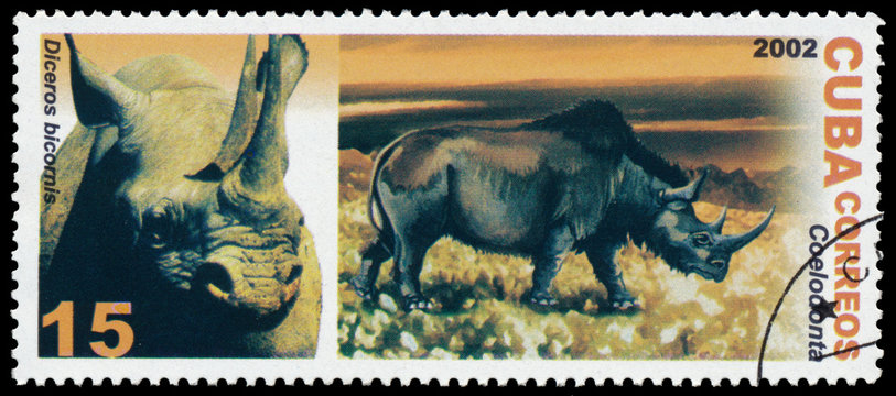 Stamp printed in CUBA shows image of rhinoceros