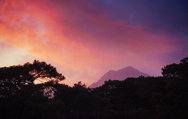 Colorful summer landscape in the Carpathian mountains. Sunset