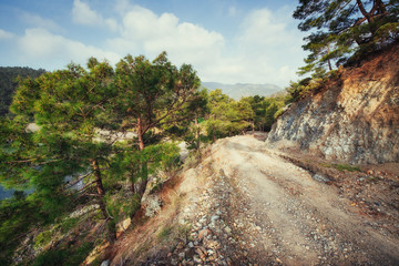 Fototapeta premium The stony road in the mountains.