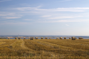 Harvest at Hadleigh, Essex, England