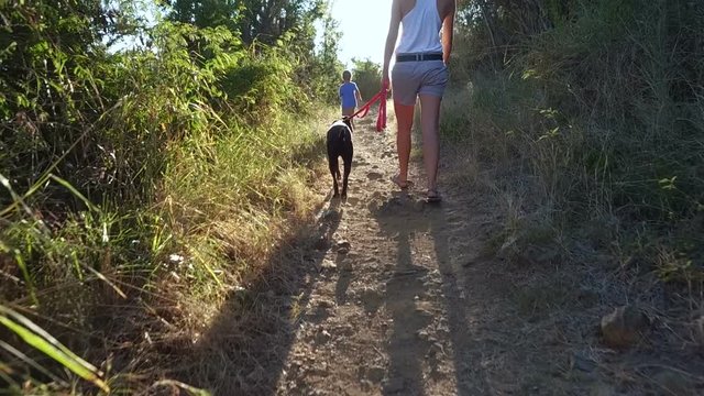 Mother, child and dog hiking on a trail at sunset in the Virgin Islands