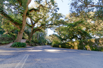 Serra de Sintra Portugal