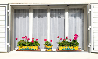 Red flowers on the white windowsills. Facade of a building with windows