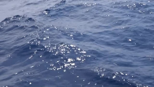 Fahrwasser