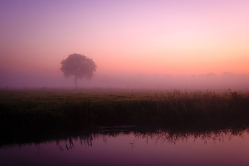 foggy morning landscape with beautiful colors
